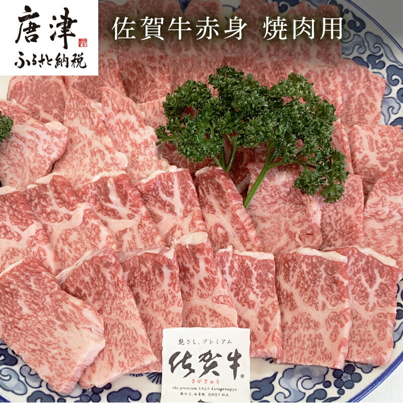 佐賀牛赤身焼肉用 800g 牛肉 ギフト 「2024年 令和6年」