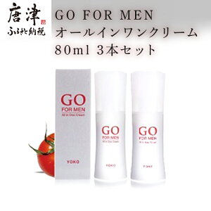 【ふるさと納税】GO FOR MEN オールインワンクリーム 80ml 3本セット 化粧品 スキンケ...