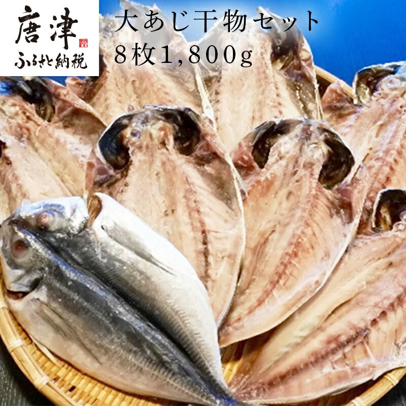 大あじ干物 8枚 (合計1.8kg) おさかな村 鯵 個包装 「2024年 令和6年」