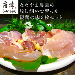 【ふるさと納税】佐賀県産 放し飼いで育った親鶏の肉 (もも むね ささみ各2枚×3) 煮込み料理 たたき「2024年 令和6年」