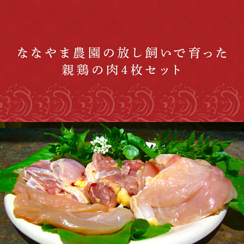 【ふるさと納税】佐賀県産 放し飼いで育った親鶏の肉 (もも むね ささみ各2枚×4) 煮込み料理 たたき「2024年 令和6年」