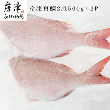 【ふるさと納税】 冷凍真鯛2尾500g×2P