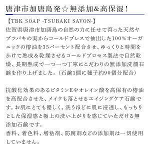 【ふるさと納税】椿油化粧品 基本2点セット(椿油＆お試しサイズ洗顔石鹸) 無添加コスメ TBK基礎化粧品