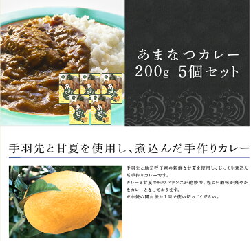 【ふるさと納税】あまなつカレー 5個セット