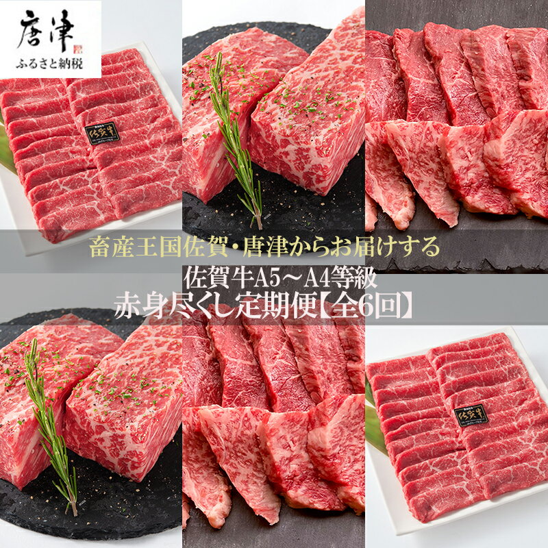 ڤդ뤵Ǽǡۡ6  ֿȤŤ ȯ (3kg) A5A4 ե £ʪ 2025ǯ 7ǯ