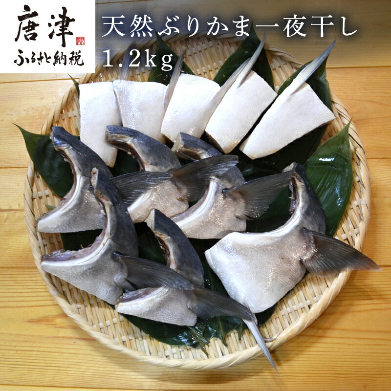 【ふるさと納税】天然ぶりかま一夜干し ハーフ2食×5袋 計1kg ・フル1食×1袋 計200g(合計1.2kg) おかず おつまみ 「2024年 令和6年」