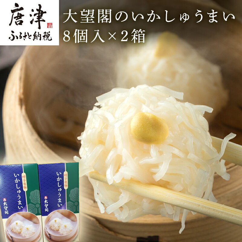 【ふるさと納税】大望閣のいかしゅうまい 8個入×2箱 おかず ギフト 「2025年 令和7年」