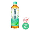 22位! 口コミ数「1件」評価「4」定期便 2ヶ月 爽健美茶 600ml PET 1ケース 24本 ペットボトル お茶 茶 飲料 2回 お楽しみ　【定期便・鳥栖市】