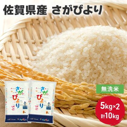 無洗米 10kg 佐賀県産 さがびより 5kg×2 国産米 精米 ご飯 白飯 佐賀県米 米 コメ こめ　【鳥栖市】　お届け：2024年4月上旬～10月中旬まで