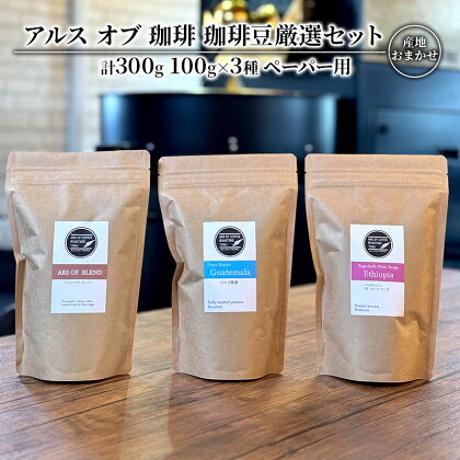 珈琲豆 厳選 セット 100g×3種 ペーパー用 コーヒー 珈琲　【鳥栖市】