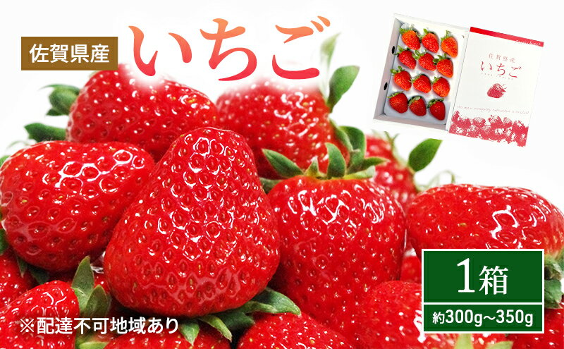 【ふるさと納税】いちご 1箱 （約300g～350g） 佐賀県産 イチゴ 苺 果物 フルーツ デザート ※配送不可:北海道　【鳥栖市】　お届け：2023年11月下旬～2024年5月下旬