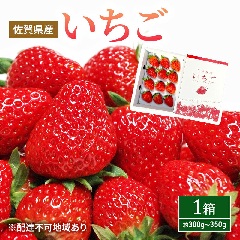 いちご 1箱 (約300g〜350g) 佐賀県産 イチゴ 苺 果物 フルーツ デザート ※配送不可:北海道 [鳥栖市] お届け:2023年11月下旬〜2024年5月下旬