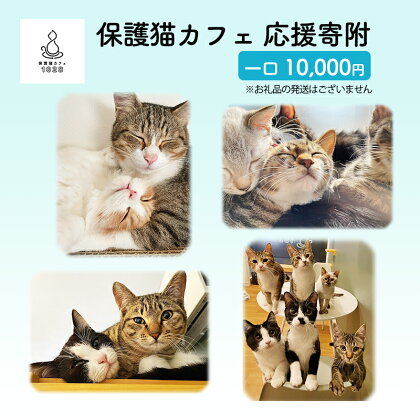 保護猫カフェへの寄附 【お礼品の発送はございません】一口10,000円　【鳥栖市】