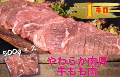 牛 もも肉 ステーキ 塩仕込み 計約1kg 牛肉 肉 もも ※配送不可:離島　【鳥栖市】