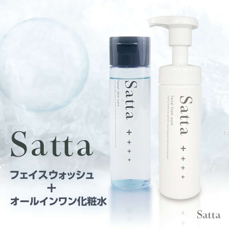 【ふるさと納税】メンズ コスメ Satta スキンケア セット 泡洗顔料+オールインワン 化粧水 美容