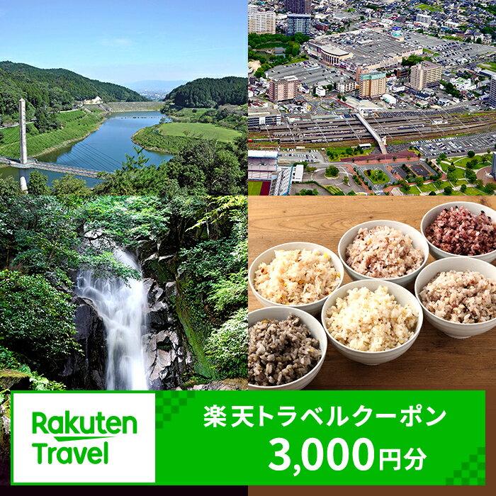 佐賀県鳥栖市の対象施設で使える楽天トラベルクーポン 寄附額10,000円【クーポン3,000円分】　【宿泊券】