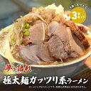 【ふるさと納税】ラーメン 夢を語れ 3食 セット 極太麺 ガッツリ系ラーメン 豚 1本付き!G系※配送不可:離島