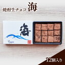 【ふるさと納税】チョコレート 焼酎 生チョコ 「海」12個入り チョコ ※配送不可:北海道、沖縄、離島(4)