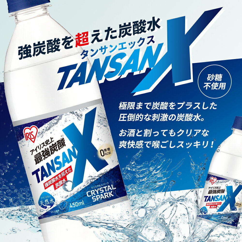 【ふるさと納税】炭酸 アイリス史上最強炭酸 TANSAN X 450ml×24本 2ケース (計48本) 強炭酸 炭酸水 飲料