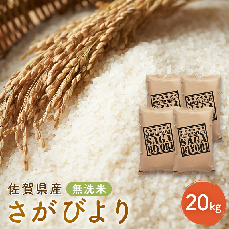 【ふるさと納税】新米 先行予約 さがびより 佐賀県産 無洗米 20kg (5kg×4) 五つ星お米マイスター厳選 米 ※配送不可:離島 お届け:2025年11月上旬~