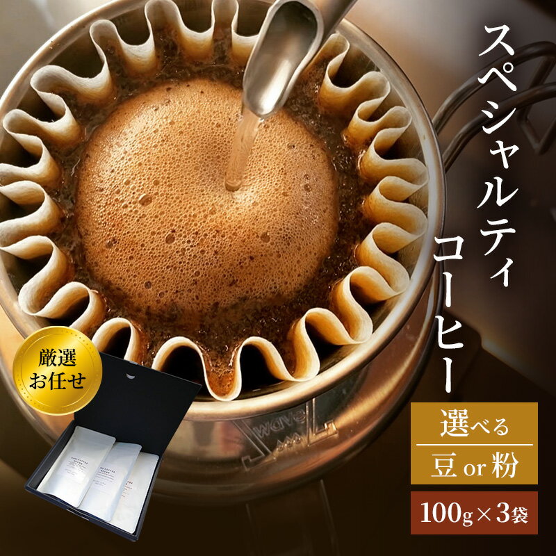 【ふるさと納税】珈琲 クドー珈琲豆店 スペシャルティコーヒー 厳選 お任せ セット (豆 or 粉)【100g×3袋】