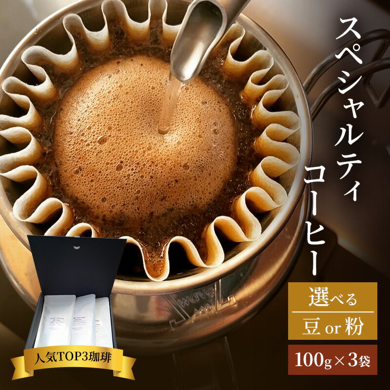 【ふるさと納税】珈琲 クドー珈琲豆店 スペシャルティコーヒー 当店人気TOP3珈琲(豆 or 粉)【100g×3セット】