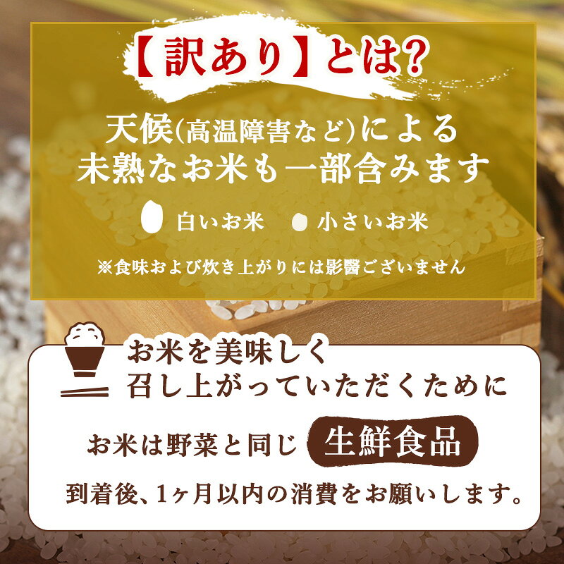 佐賀県鳥栖市の【ふるさと納税】定期便 6ヶ月 訳あり 米 鳥栖市ふるさと納税限定 プレミアムブレンド 【無洗米】 3kg 五つ星お米マイスター厳選 (お徳用ブレンド米) 家庭用 生活応援 ※配送不可：離島｜アングル3