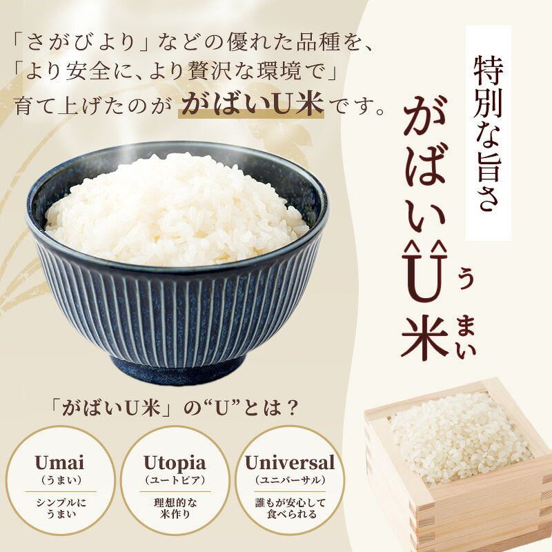 【ふるさと納税】≪ 選べる内容量・お届け回数 ≫ 訳あり無洗米 5kg 10kg 定期便 3ヶ月 6ヶ月 令和7年産 がばいU米(うまい) 佐賀県産 お米 こめ コメ 白米 五つ星 お米マイスター厳選 弁当
