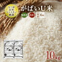 【ふるさと納税】定期便 6ヶ月 訳あり 米 鳥栖市ふるさと納税限定がばいU米(うまい) 【無洗米】 10kg(5kg×2袋) 五つ星お米マイスター厳選 (お徳用...