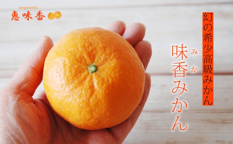 【ふるさと納税】ワイン “味香ワイン” 白仕立て辛口 アルコール 辛口 720ml 1本