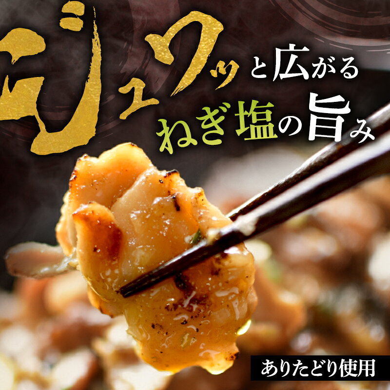 【ふるさと納税】焼くだけ絶品！ありたどり旨み引き出すねぎ塩仕込み (500g×4P) 鶏肉 鶏 肉 お肉 ※配送不可:沖縄県、離島 f412031-tosu-10002616 佐賀県鳥栖市 サンプル画像3