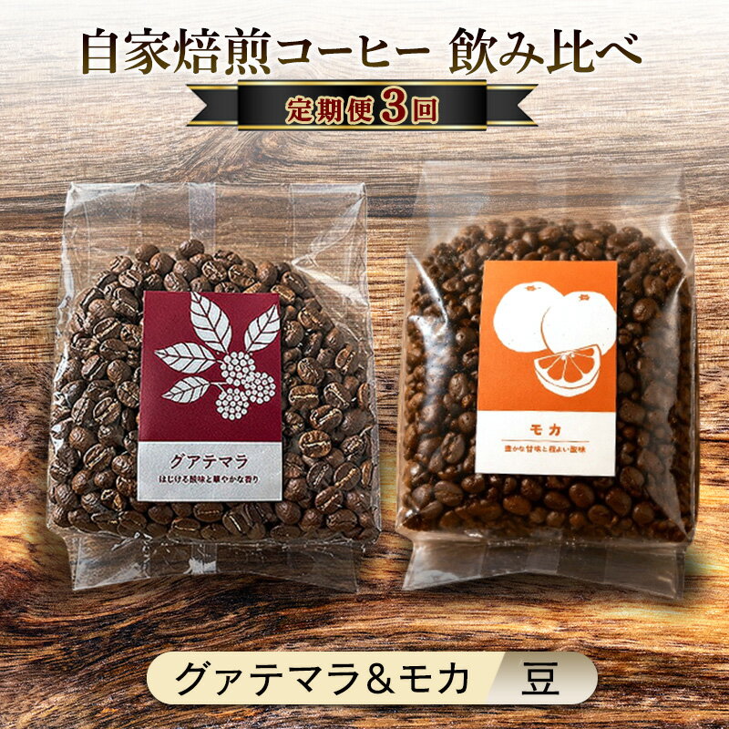 【ふるさと納税】【厳選2種の3ヶ月定期便】芳醇なフルーティー飲み比べセット・自家焙煎コーヒー（豆）(グァテマラ221g、モカ285g) 珈琲