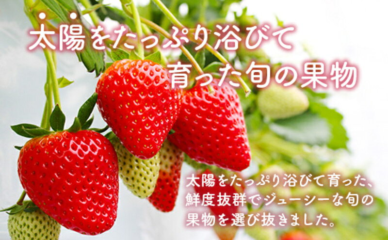 【ふるさと納税】定期便3ヶ月 旬の果物 定期便 3回 果物 フルーツ デザート 2027年...