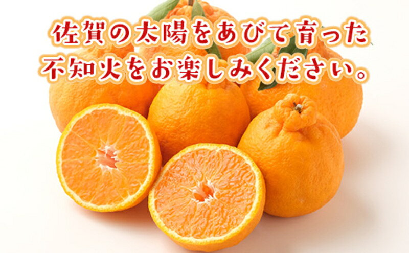 【ふるさと納税】不知火 しらぬい 約3kg 柑橘 みかん ジュース ゼリー シャーベット 果物 フルーツ デザート ※配送不可:離島　お届け：2027年2月上旬～3月下旬まで f412031-tosu-10002643 佐賀県鳥栖市 サンプル画像2