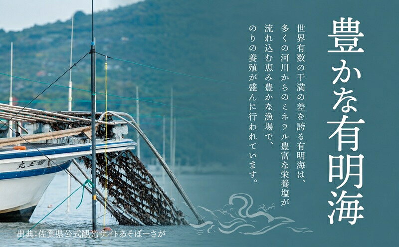 【ふるさと納税】訳あり 有明海産 焼き海苔 半切り 40枚 のり ノリ 佐賀県 ※配送不可:離島