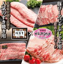 肉セット 【ふるさと納税】【すき焼き】【しゃぶしゃぶ】老舗 の 佐賀牛 SUKIYAKI＋ 豚しゃぶ セット 牛肉 豚肉c－75