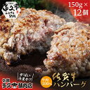 【ふるさと納税】佐賀牛の旨みがぎっしり 和牛100％使用 ハ