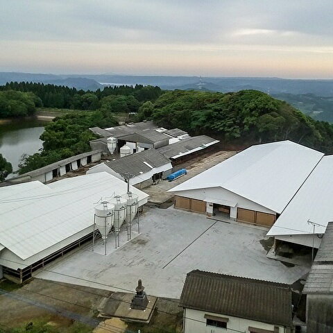 札幌開拓使バラエティセット 札幌バルナバハム 詰め合わせ セット ギフト プレゼント お中元 お歳暮 内祝い