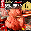 【ふるさと納税】牛タン 厚切り牛タン ステーキ 塩味 600g (300g×2) ・1kg (500g×2) パック 小分け | 厚切り牛タンステーキ 肉 焼肉 牛肉 牛たん 牛タン塩 牛たん塩 天日塩 冷凍 BBQ バーベキュー アウトドア 厚切り タン 焼くだけ 簡単調理 真空冷凍 _b-445