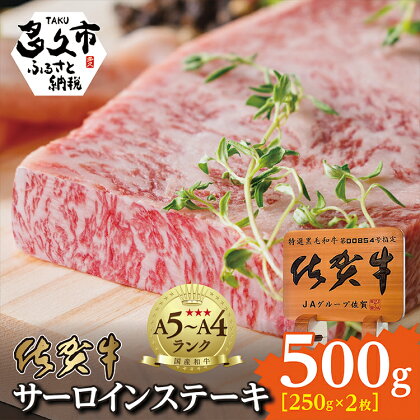 佐賀牛 サーロイン ステーキ （250g×2枚） 牛肉 d－72