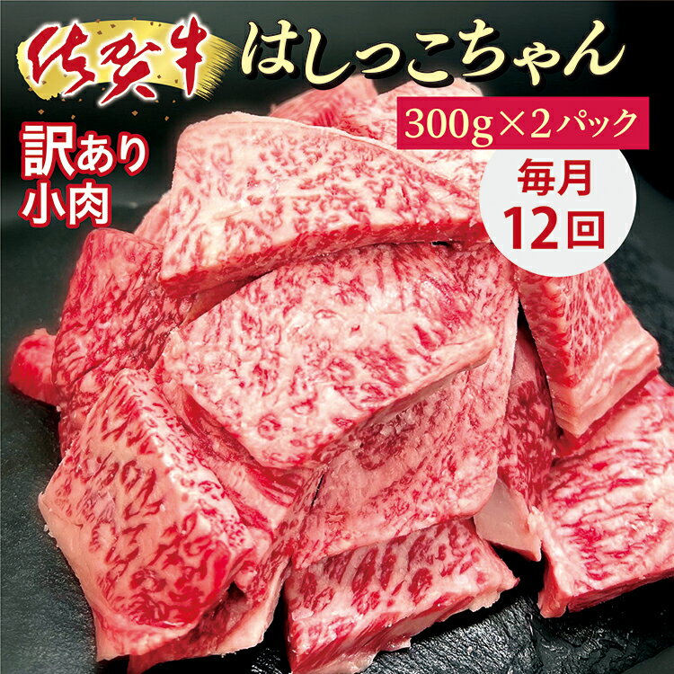 [毎月 12回]佐賀 牛 小肉「 はしっこちゃん 」 牛肉 端切れ 定期便 f-68