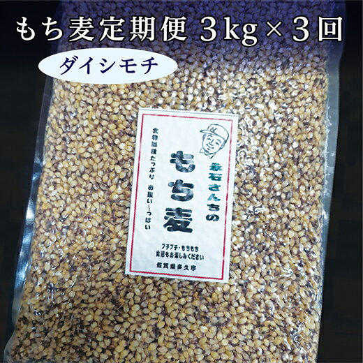 もち麦 ダイシモチ 国産 定期便 3kg × 3回 | もち麦 ダイシモチ 国産 定期便 永石さんちのもち麦 3kg × 3回 d-43