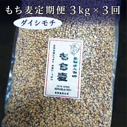 もち麦 ダイシモチ 国産 定期便 3kg × 3回 | もち麦 ダイシモチ 国産 定期便 永石さんちのもち麦 3kg × 3回 d－43