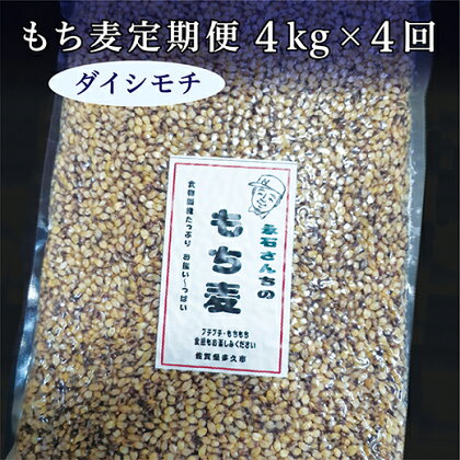 e－30　もち麦 ダイシモチ 国産 定期便 4kg × 4回 | もち麦 ダイシモチ 国産 永石さんちのもち麦 定期便 4kg × 4回