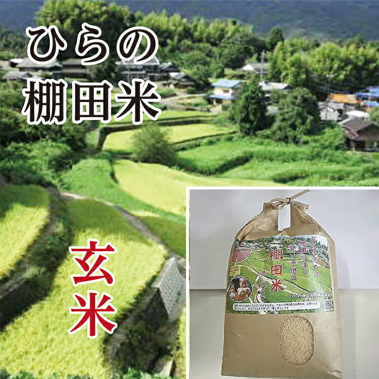 【ふるさと納税】【令和7年産 新米】 棚田米 夢しずく 玄米 5kg × 2袋 計 10kg ひらの棚田米 | 玄米 5キロ 2袋 計 10キロ こめ コメ 米...