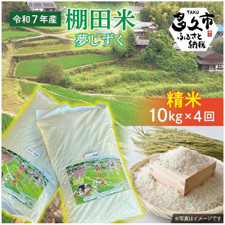 [令和7年産 新米] 定期便 棚田米 夢しずく 精米 白米 10kg ×4回 計 40kg ひらの棚田米 | 精米 白米 10キロ 4回 計 40キロ お米 こめ コメ 米 白米 ごはん _p-5
