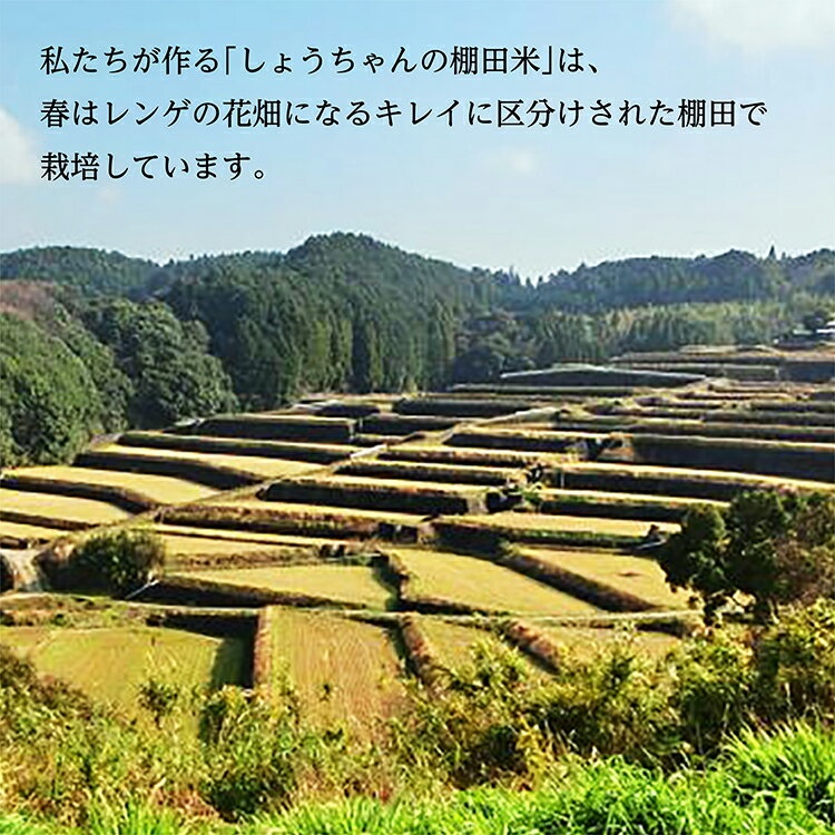 【ふるさと納税】【 定期便 ×5回 】 夢しずく 令和5年産 【 玄米 】 農薬・化学肥料不使用「 しょうちゃんの 棚田米 」 10kg×5回 特A 受賞 化学肥料不使用 オーガニック 棚田 米 コメ お米 おこめ 10キロ 50キロ 10kg 50kg 10 50 定期便 l-2