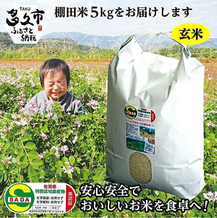 【ふるさと納税】【 令和7年産 新米 】 5kg 玄米 夢しずく 農薬・化学肥料不使用 「 しょうちゃんの 棚田米 」 5kg モチモチ食感と優しい甘み 玄米 ...
