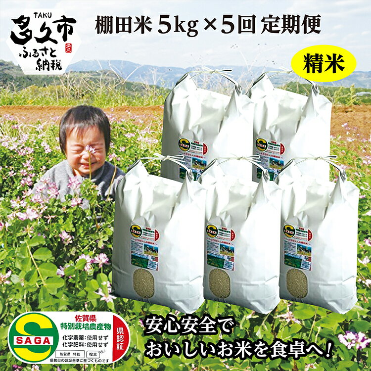 【ふるさと納税】【 令和7年産 新米 】 定期便 精米 5kg × 5回 夢しずく 米 農薬・化学肥料不使用「 しょうちゃんの 棚田米 」5kg×5回 精米 特...