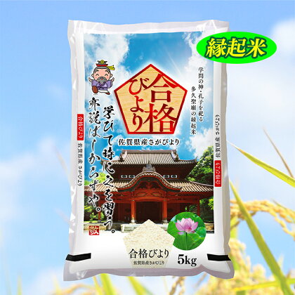 【 令和5年産 米 】 さがびより ＼ 14年連続特A受賞 ／ 10kg ( 5kg×2袋 ) お米 精米 白米 | さがびより 縁起米 「 合格びより 」 | 米 10kg コメ 10キロ 佐賀県産 合格 祈願 令和5年産 b-274